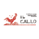 il-gallo